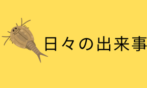 日々の出来事